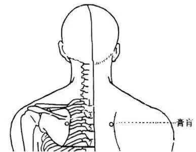 取穴:位于人体的背部,当第四胸椎棘突下,左右四指宽处(或左右旁开三寸