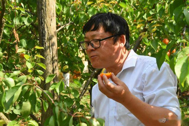 开云体育 Kaiyun.com 官网入口风靡农村的休闲农业被奉为“摇钱树”警惕美国模式下的陷阱(图6)