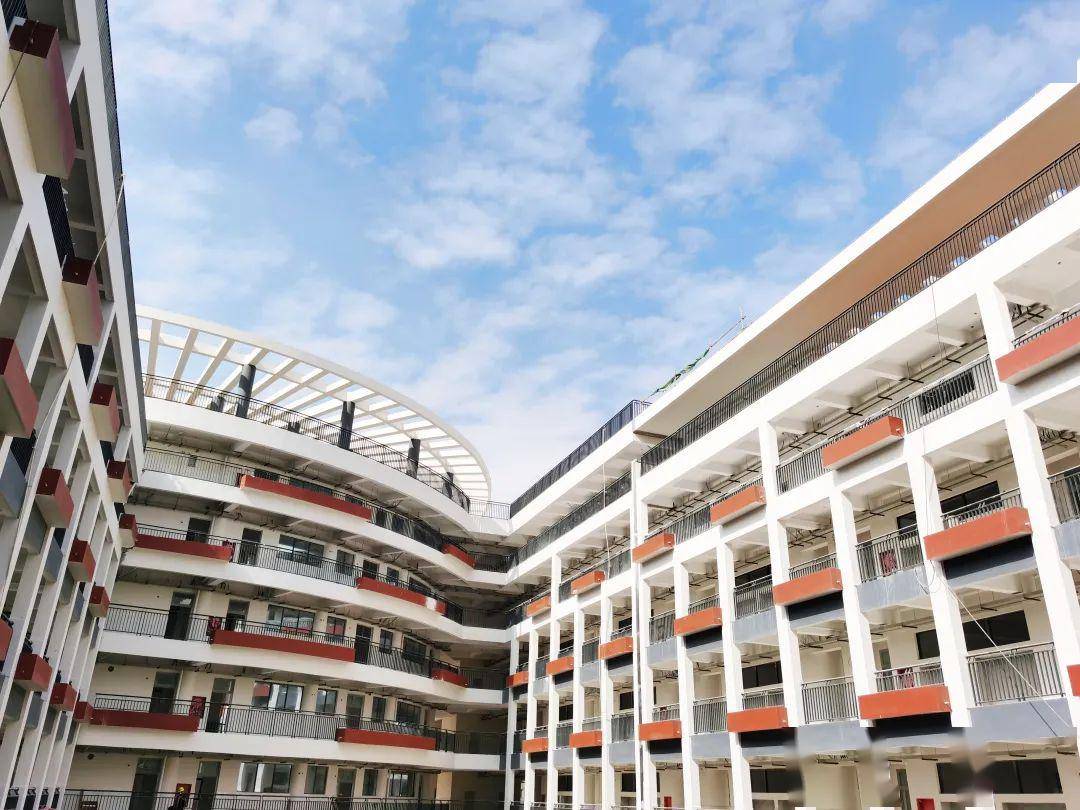 校园|你想了解的都在这里!南方科技大学附属中学