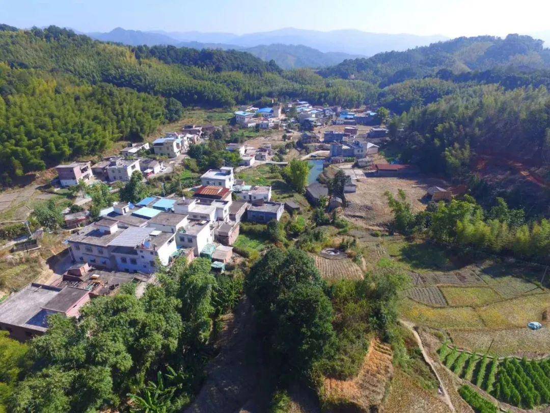 翁源gdp_翁源龙仙龙湖夜景(2)