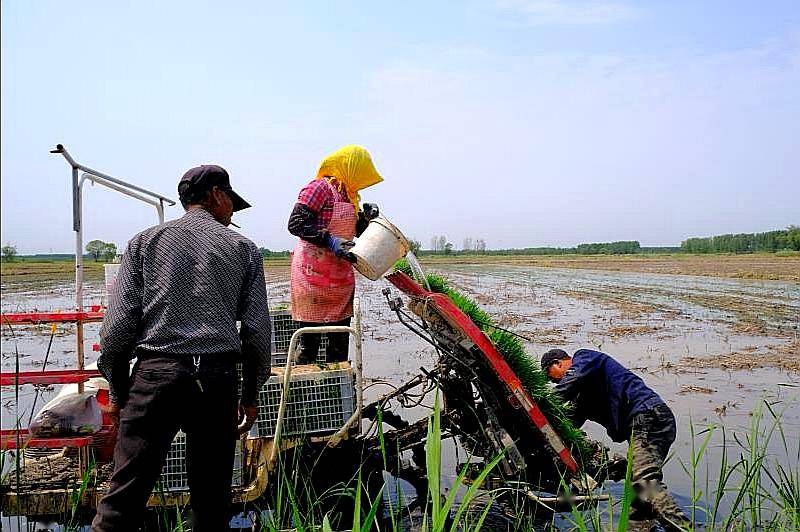 河北孟2020gdp_2020姓氏微信头像孟(2)