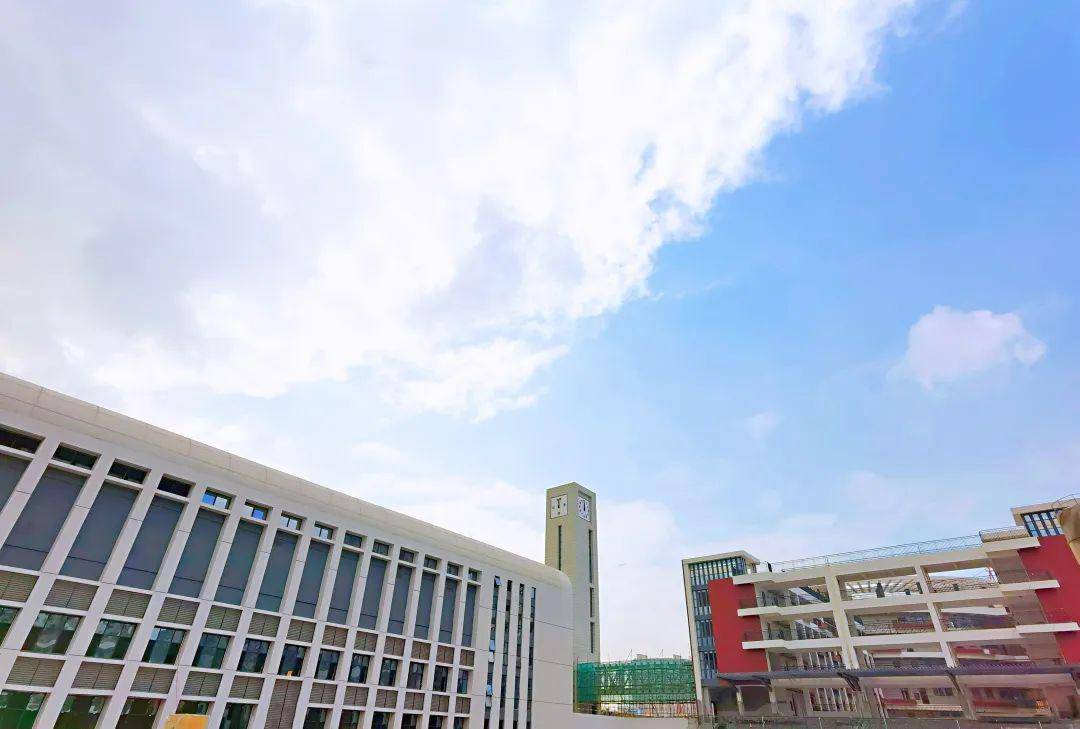 校园|你想了解的都在这里!南方科技大学附属中学