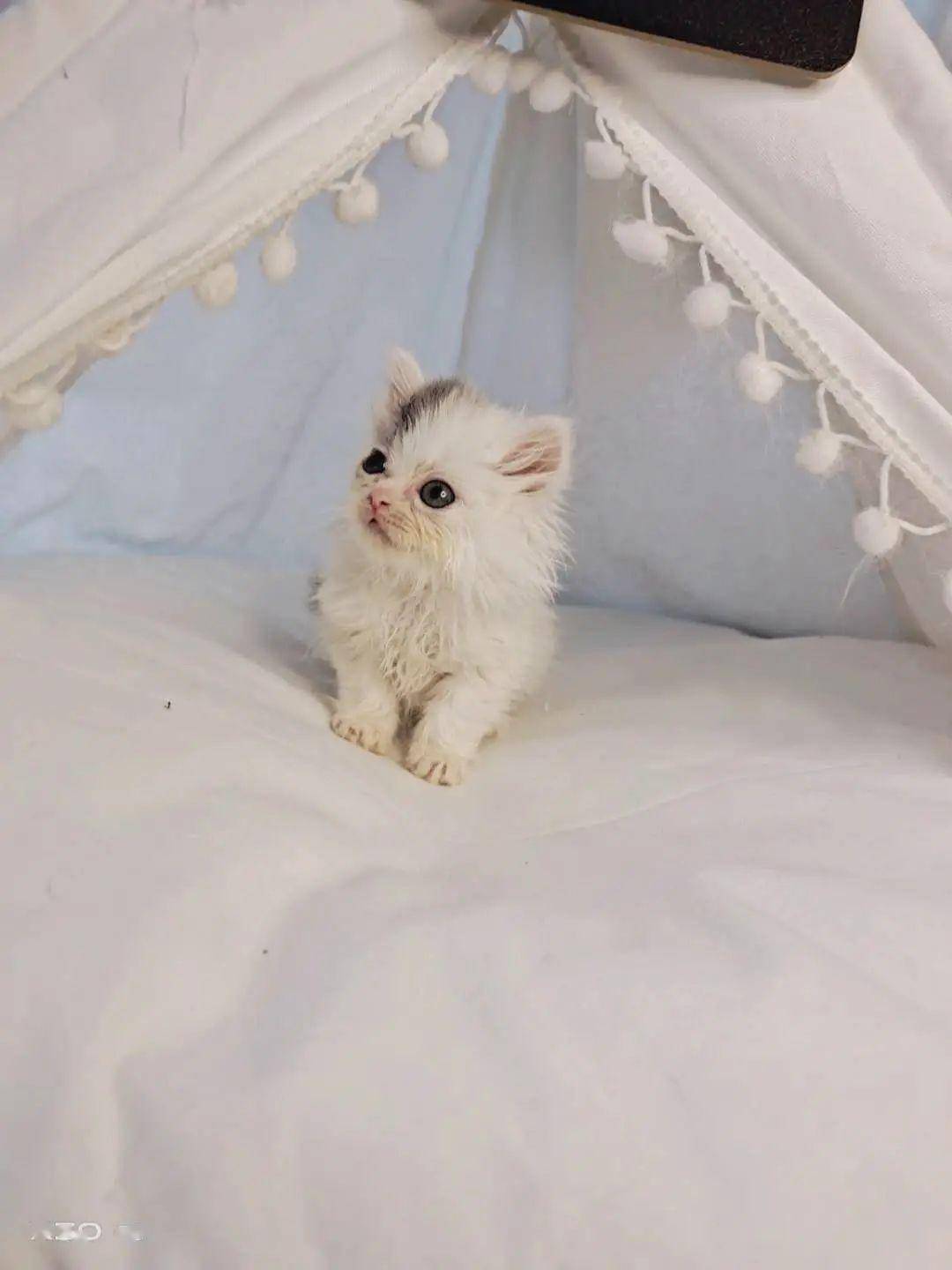 30358d663db046c2b4106532418a6d0a.jpeg