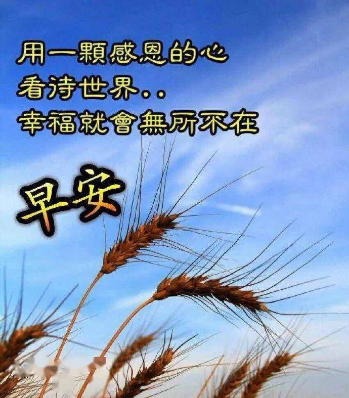 早上好问候美图,早安问候语句.