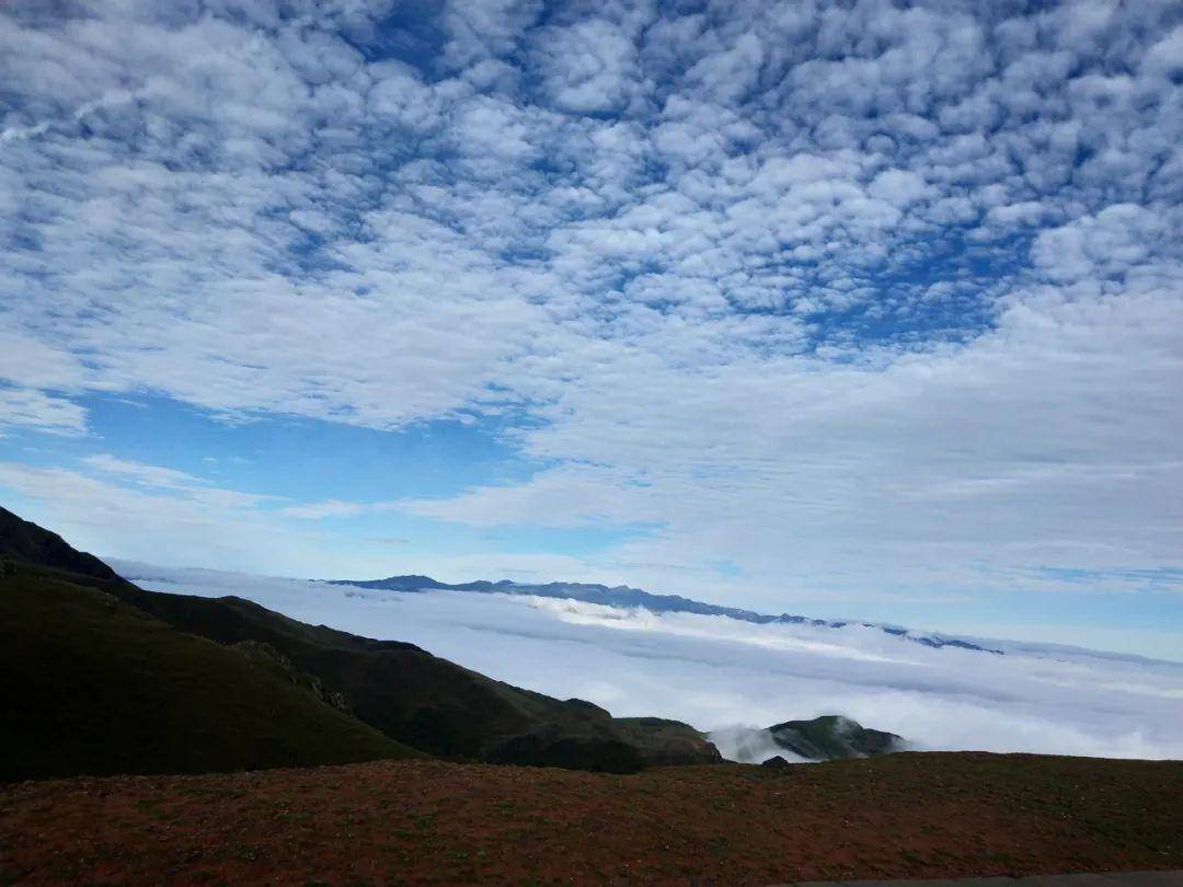 会泽大海草山景区近日风光组图