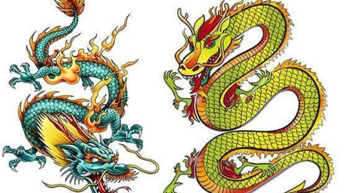 蛇龙摆尾代表什么生肖,最佳释义解释！