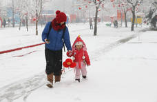 明日大雪，记得“吃两肉，食两黑”顺应时节，才能平稳度过大雪