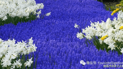 孩子，你伤的是教师的心，教师害的是你人生