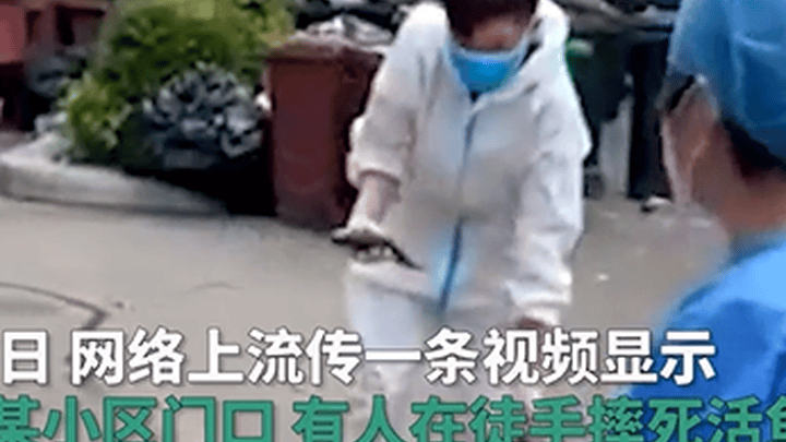 上海小区门口当街摔活鱼你怎么看?