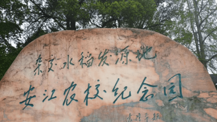 好评中国为什么会走进安江农校?