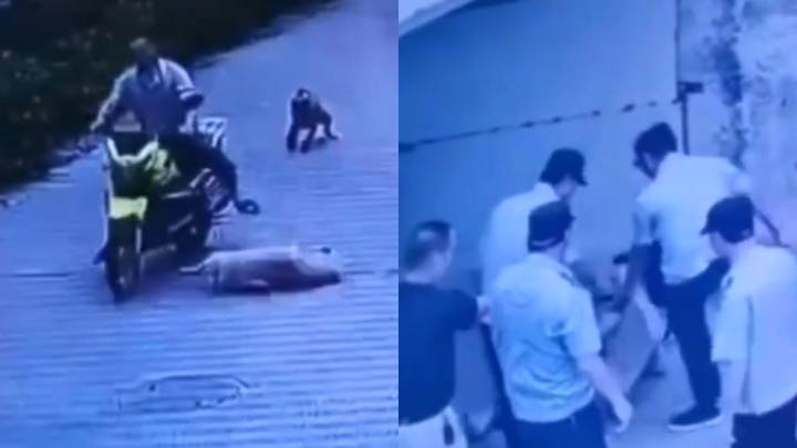 村民撞到前村干部的狗被5人上门围殴,你认为林某鹏是不是当地村霸?