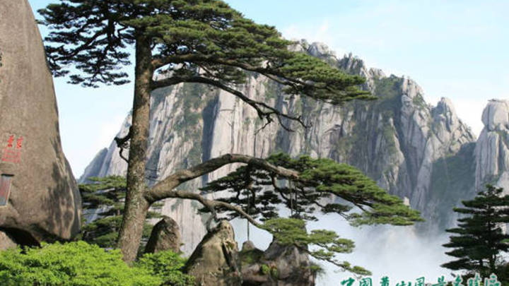 黄山景区不再向游客提供开水泡面,你觉得合理吗?