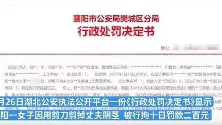 湖北女子剪掉丈夫下体,行拘10日罚款200,合理吗?