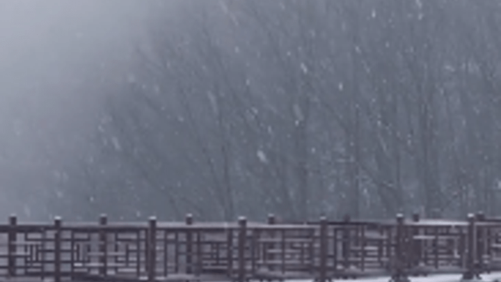 郑州下雪了,你看到了吗?