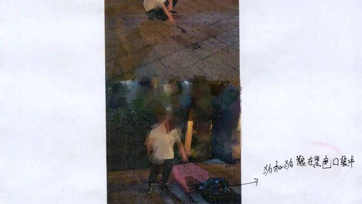 夫妻发生口角高空抛狗伤及路人,法院判了!你支持重判吗?
