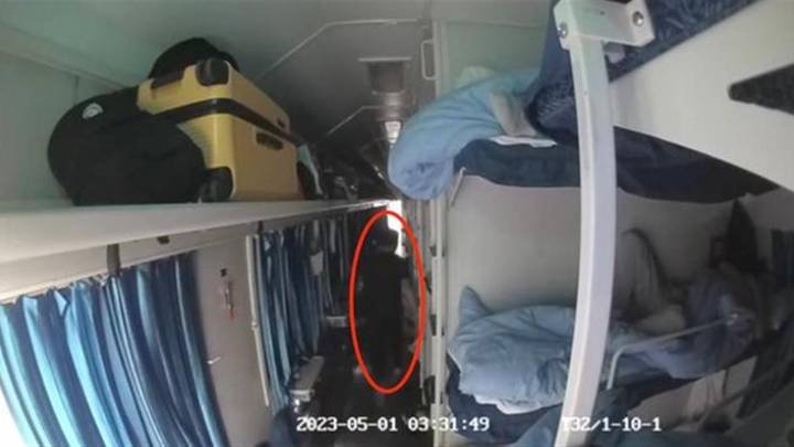 列车上女子熟睡被摸腿,一男子被行拘10日,你怎么看?
