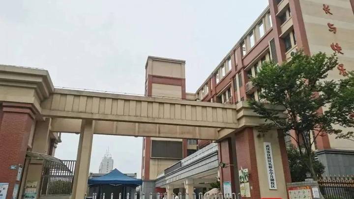 6岁学生校内被撞身亡,你开车前会检查车辆四周吗?