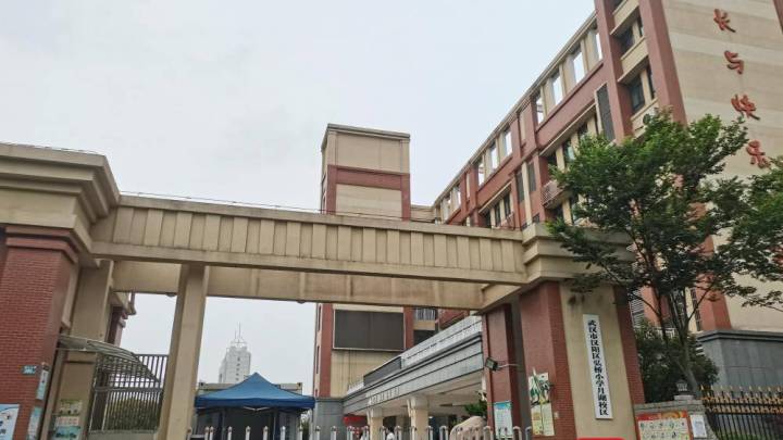 武汉一小学生校内被教师驾车撞伤致死,涉事教师和学校谁的责任更大?
