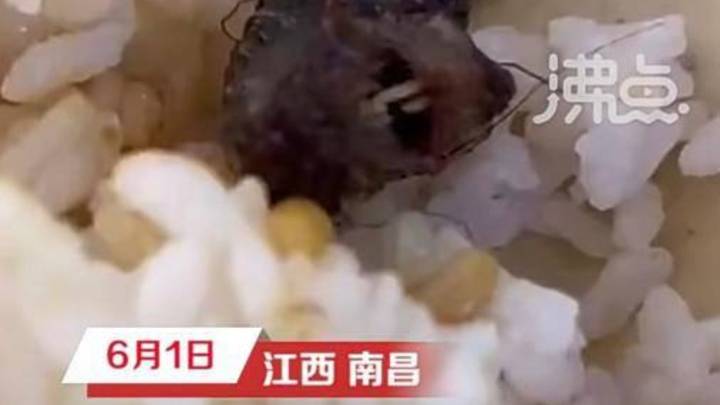江西一高职食堂饭菜中疑吃出老鼠头,校方称当事人已确认为鸭脖,你相信吗?