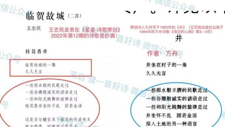 王忠民抄袭事件发酵,星星诗刊中招,你认为原因是什么?