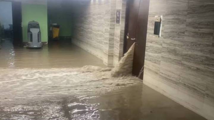 南京一业主私挖地下室挖通河道水倒灌车库,是否应该立案调查?