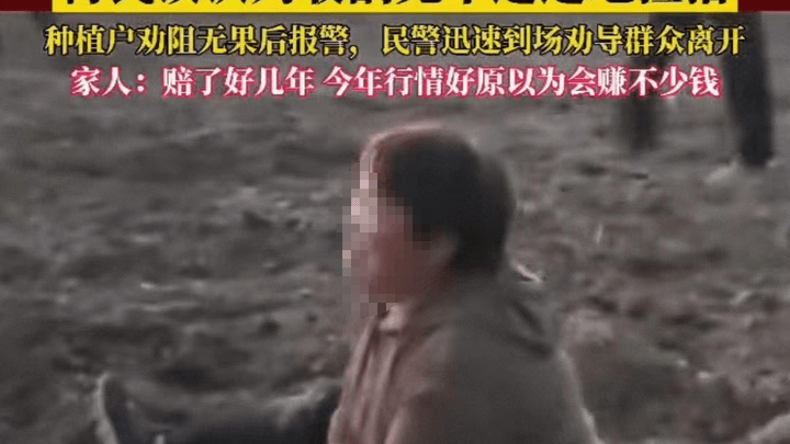 哄抢药材、庄稼,谁的责任更大?