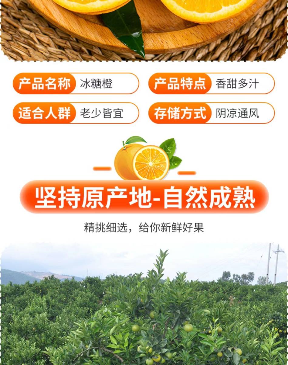 江西创泽文化传媒有限公司——麻阳冰糖橙