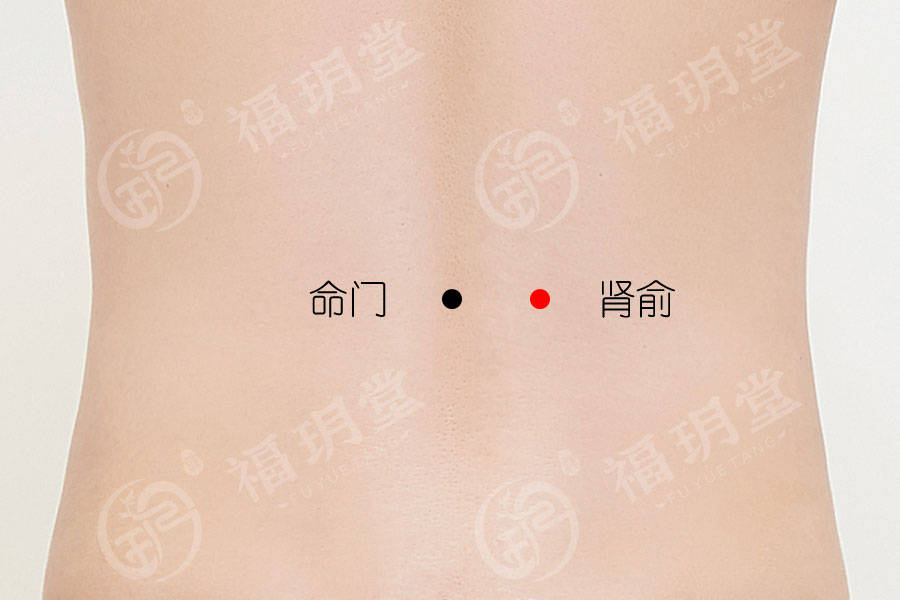 【取穴】在腰部,第2腰椎棘突下,命门穴旁开1.5寸.