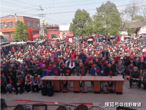 郏县广阔天地乡小程庄村:以花为媒 以桃为介 举旗帜聚