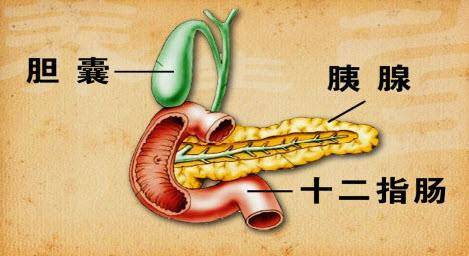 伴发疾病包括慢性胰腺炎,自身免疫性胰腺炎等.