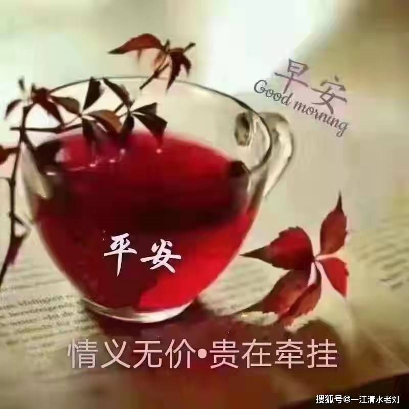 16,岁月静好,平淡是真,早上好. 17,早安,平安,情义无价,贵在牵挂.