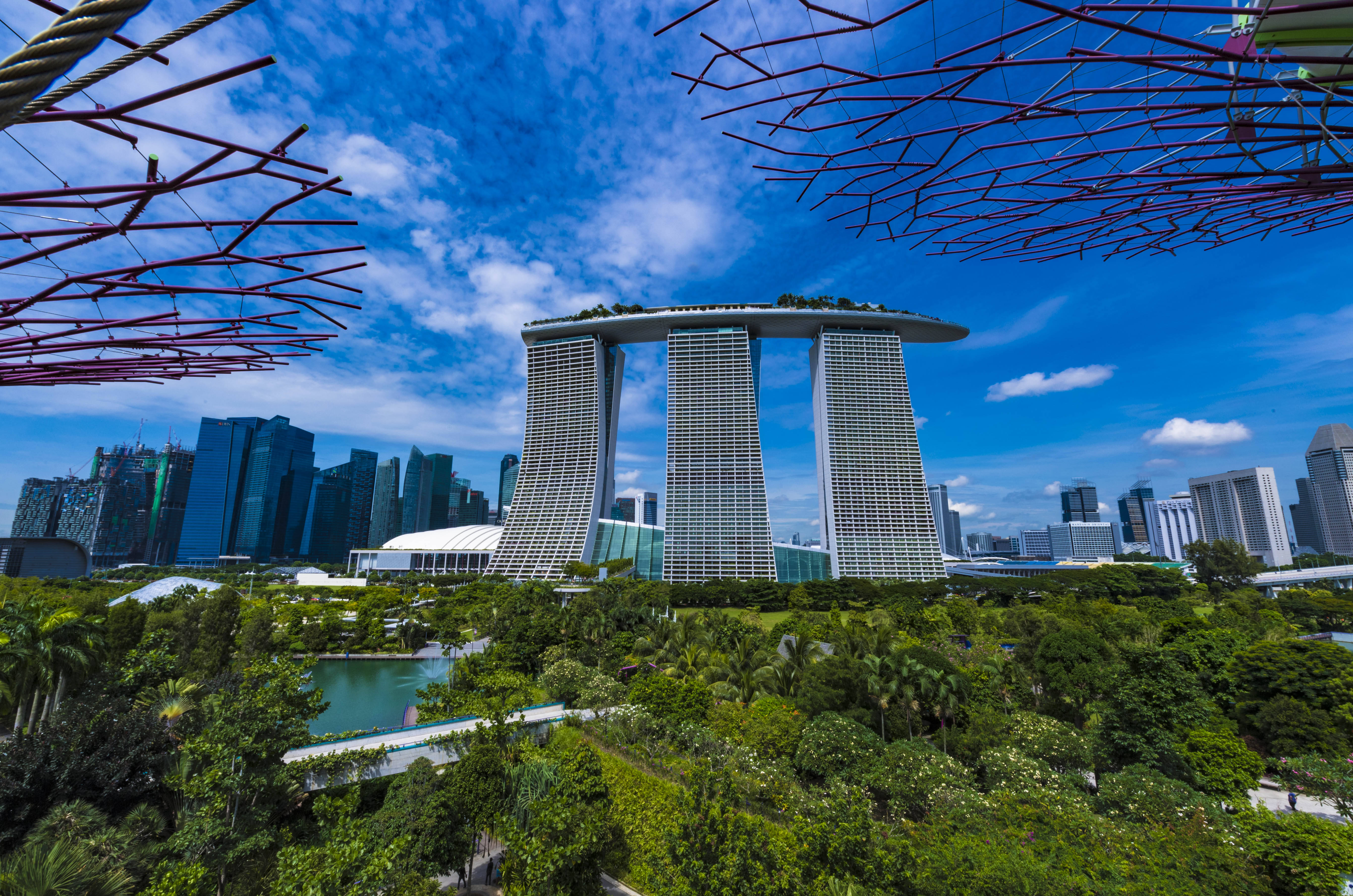 花园城市新加坡的怪异大树,滨海湾公园里的奇景