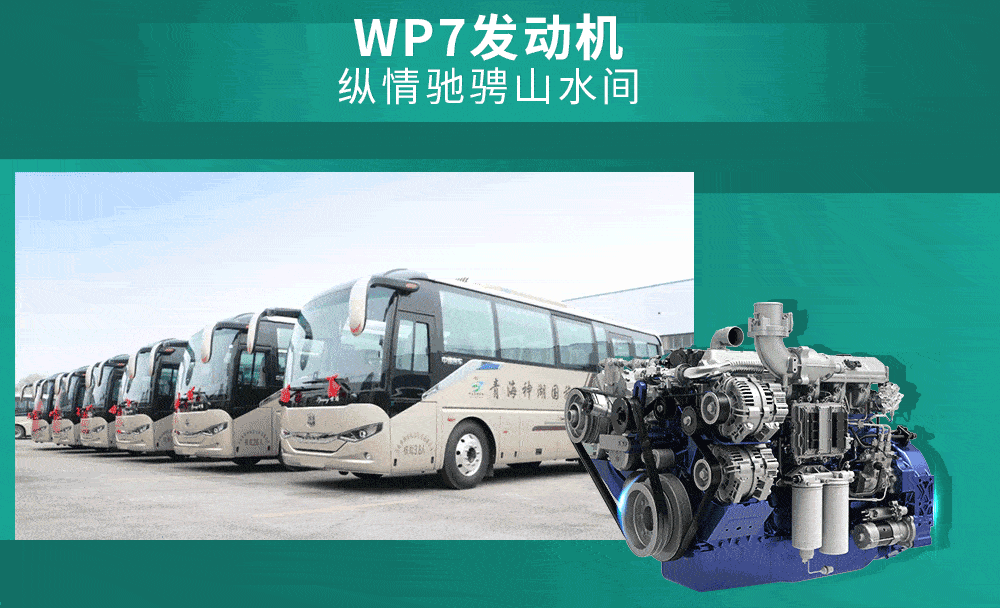 1000_608gif 动态图 动图