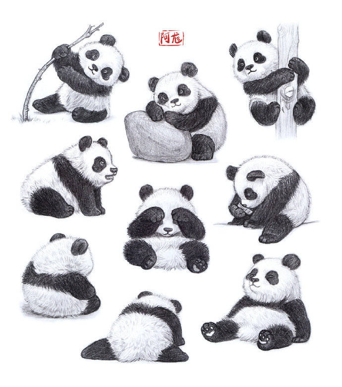 国宝熊猫怎么画大熊猫怎么画