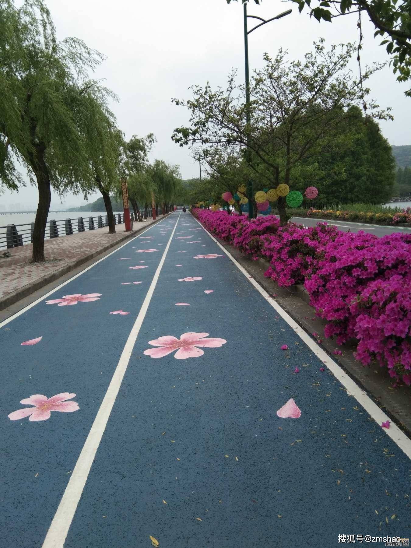 无锡-漂亮的环湖路