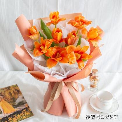 郁金香的象征意义,郁金香花语,郁金香代表什么