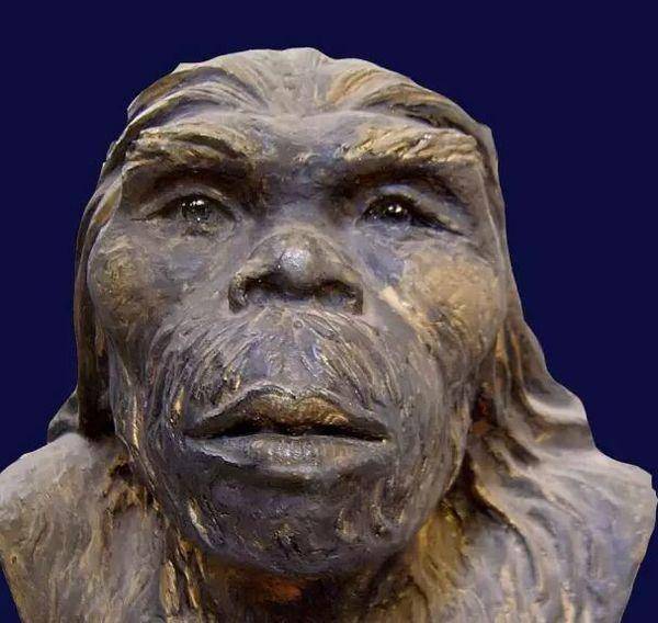 17万年前的原始人云南元谋人