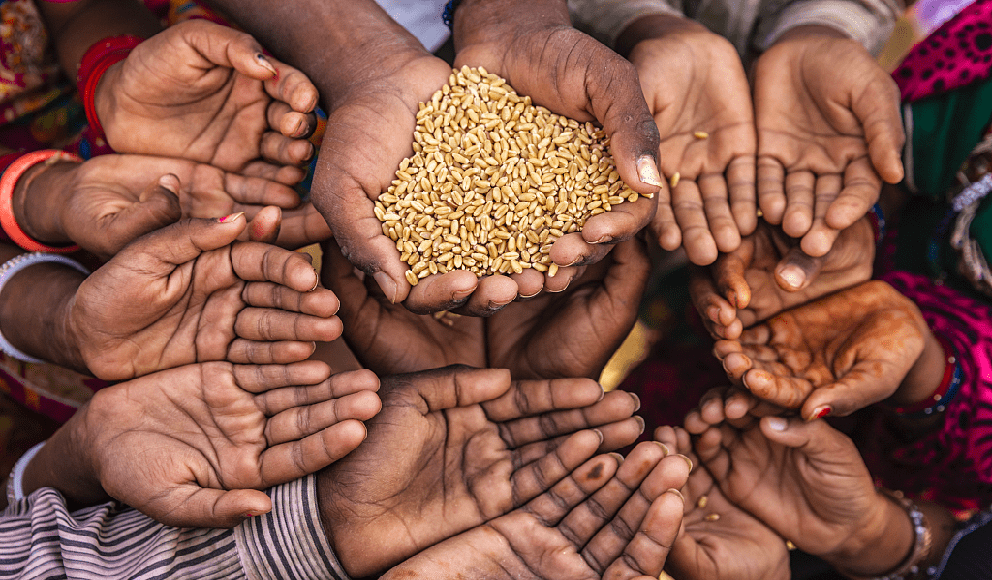 2020年全球粮食不安全加剧,1.55亿人重度缺粮!_危机