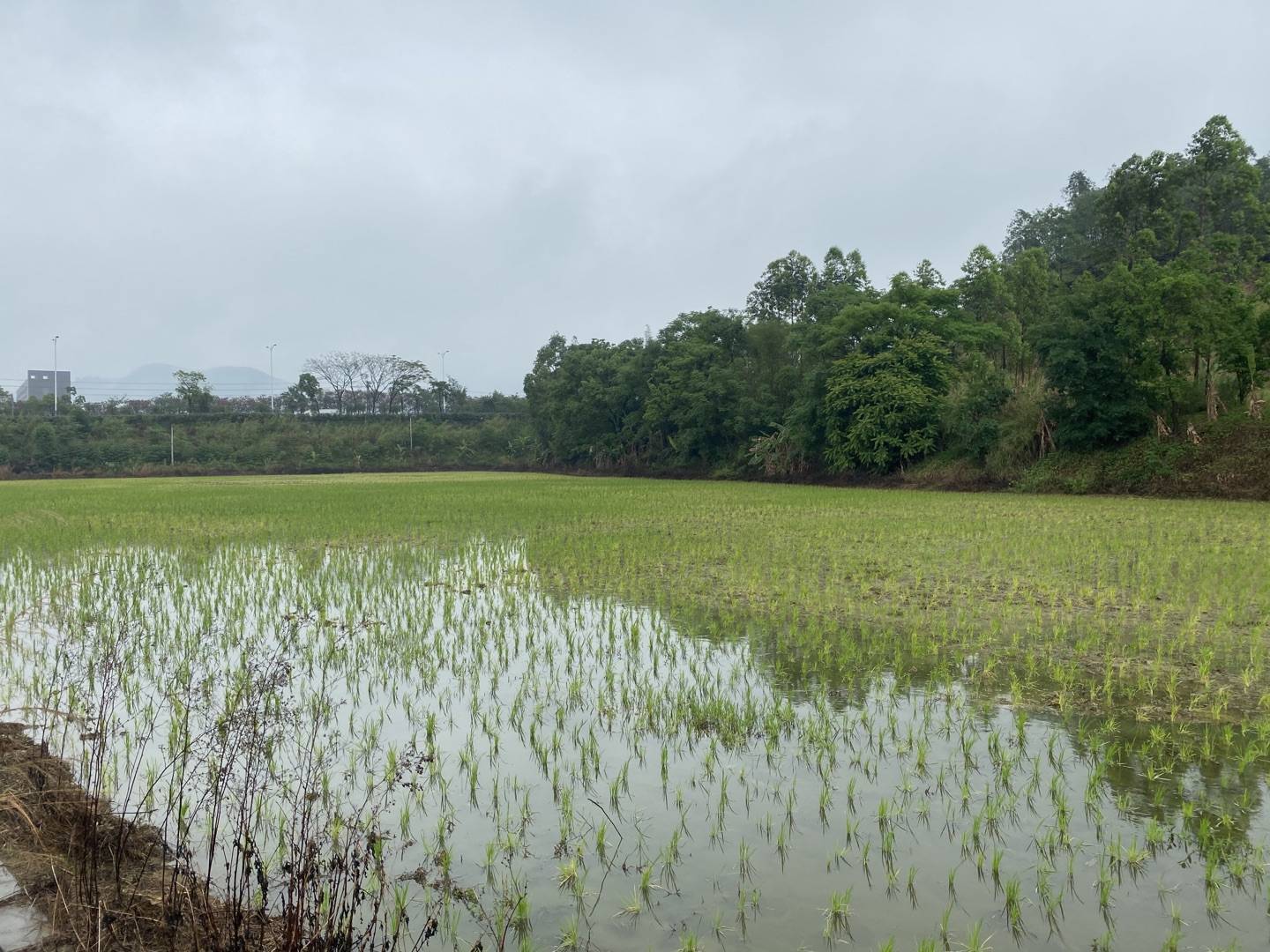 建设美丽乡村—垦造水田篇(264)