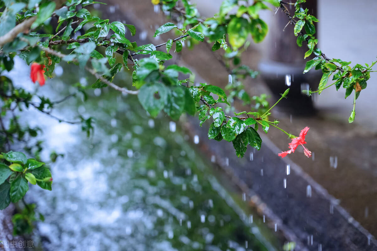 等雨来让一场雨洗礼这座城市