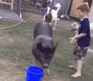 两个学霸谈恋爱,不是一起看电影逛街,而是一起自习看书 搞笑段子1