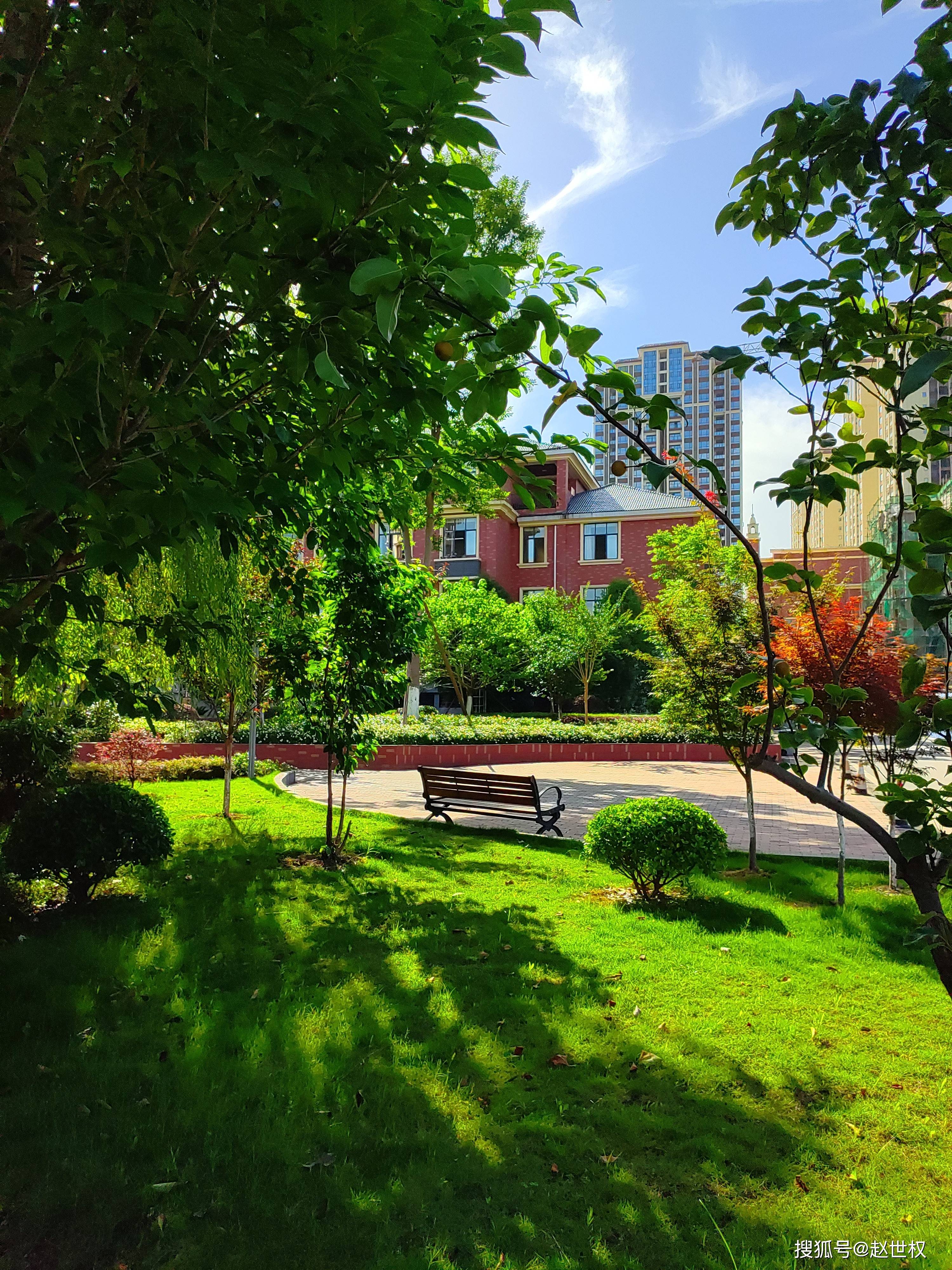 送你校园美景,与你共赴夏天