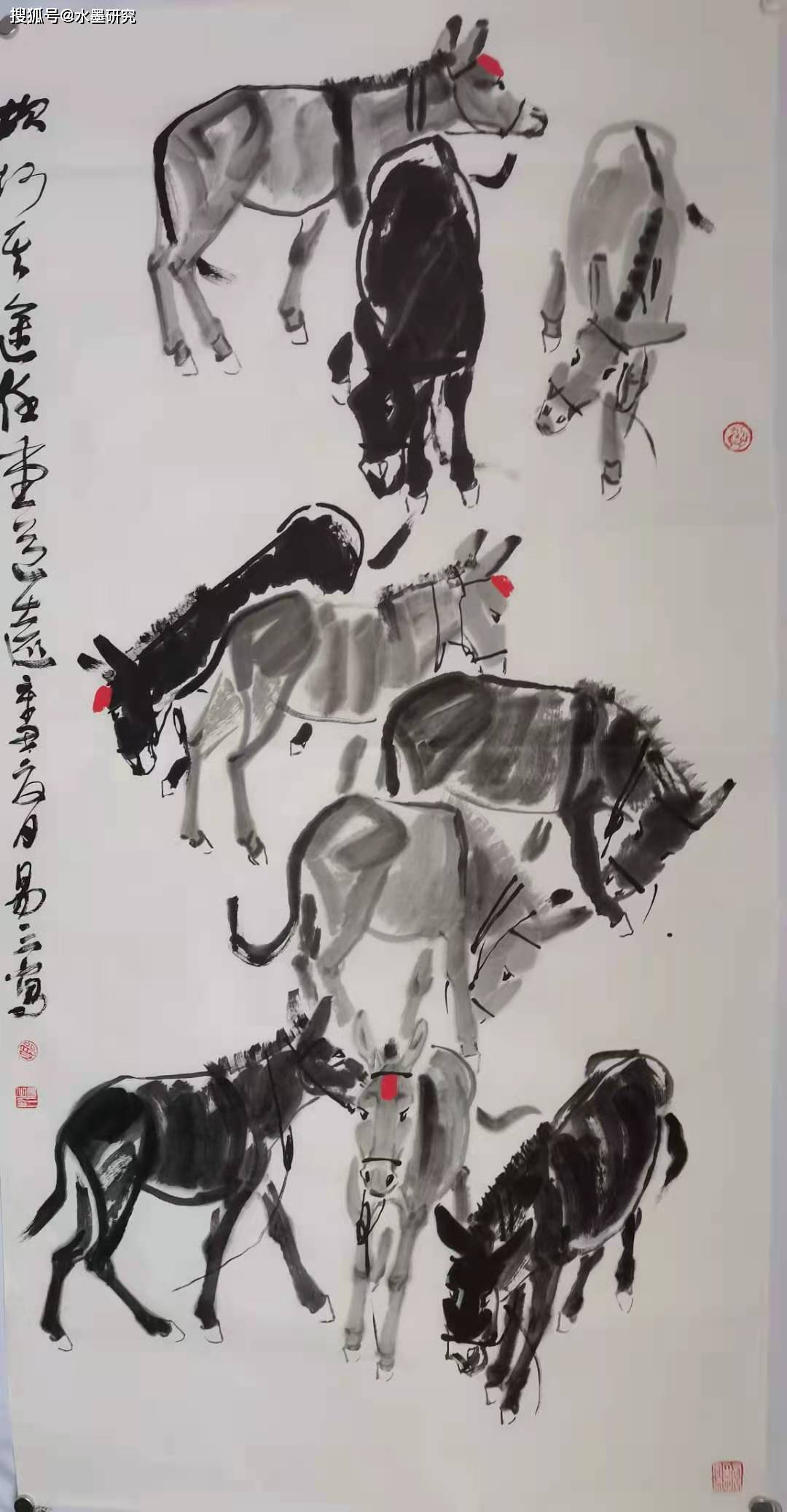 我出生在甘肃陇西一个贫困山村,小时就以毛驴为伴,这里的"陇中驴"天下