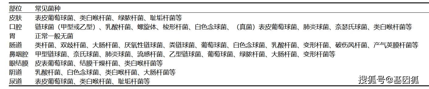 正常菌群名词解释 来自搜狐网
