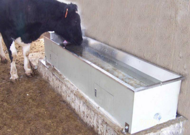 奶牛不锈钢饮水槽 加热保温解决冬季喝水难题