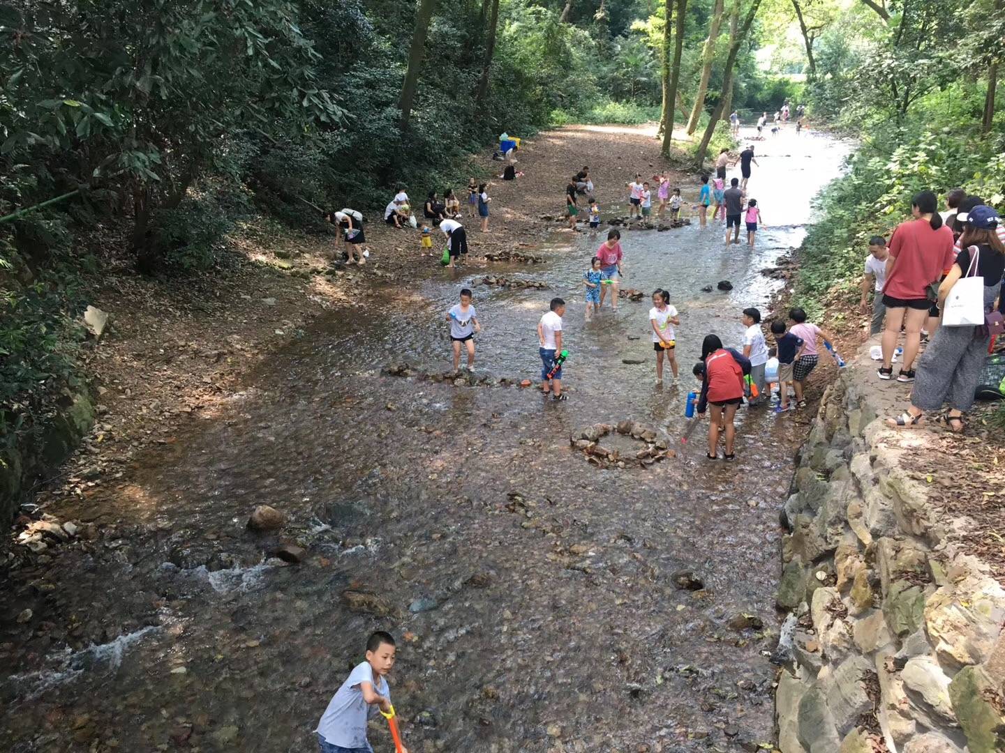 7月10日:徒步杭州九溪十八涧,龙井品茶