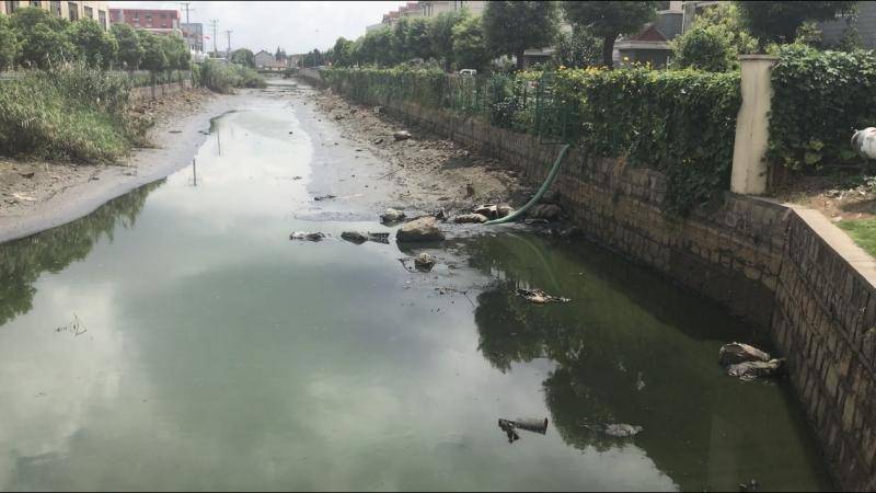 城市河道生态系统所承受的压力不断增大,治理城市河道黑臭水迫在眉睫