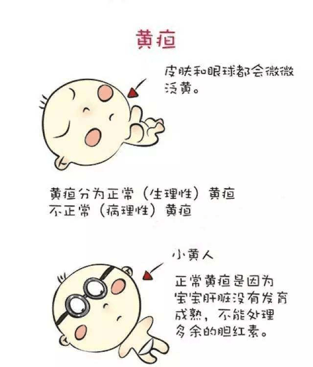 舒黄健益生菌冻干粉适合黄疸宝宝的选择