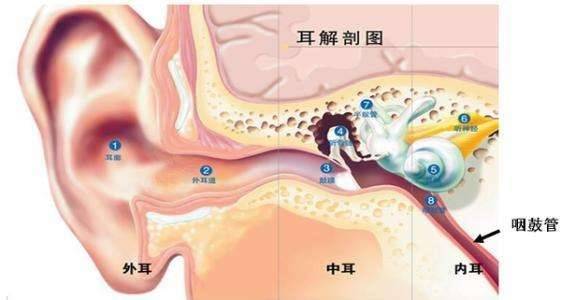 永川惠耳告诉您:为什么耳朵经常出油?是生病了吗?