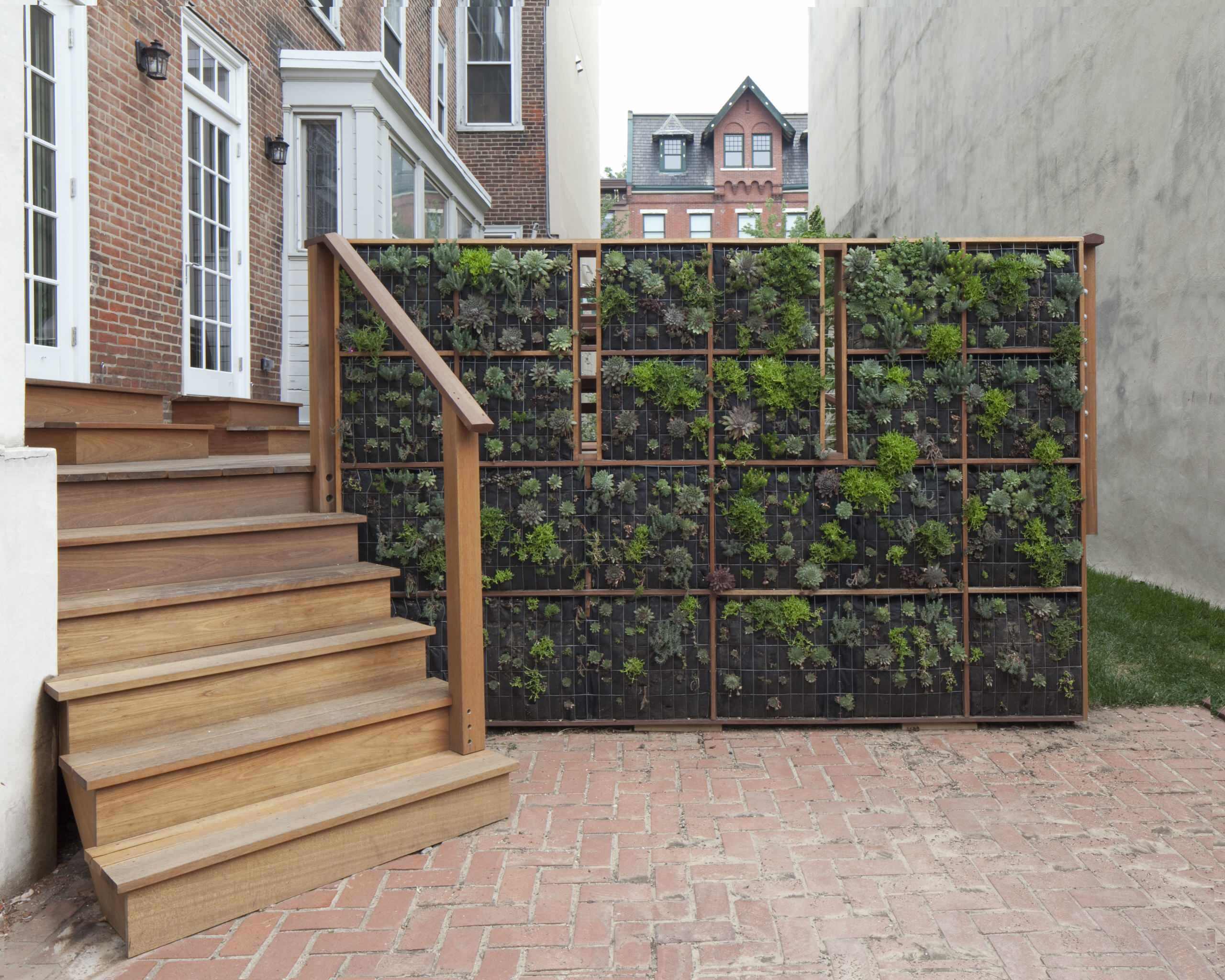 在墙面种植攀爬或垂吊的藤本植物,这类绿化形式简便易行,造价较低